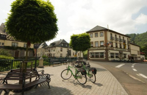 Hotels in Enkirch